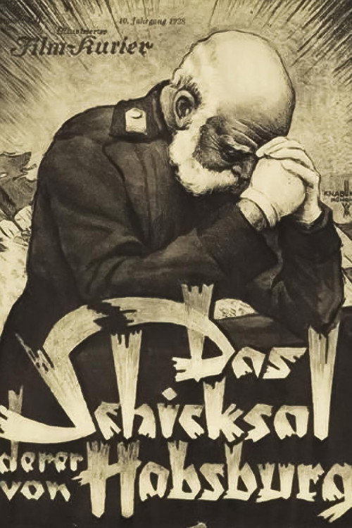 Das Schicksal derer von Habsburg poster 2