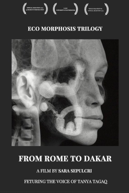 From Rome to Dakar