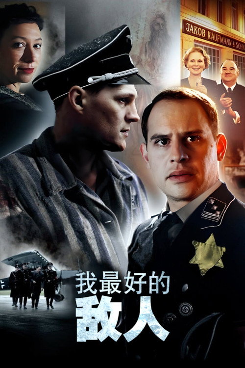 我最好的敌人电影海报