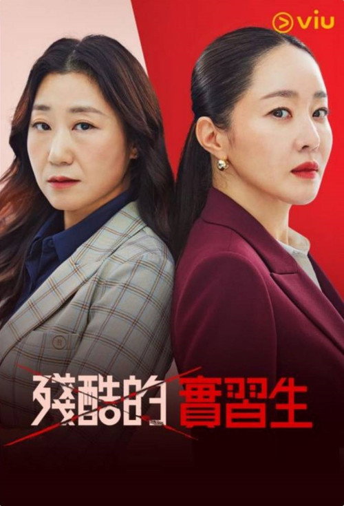 残酷的实习生电影海报