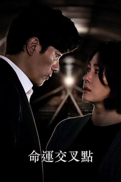 命运交叉点电影海报