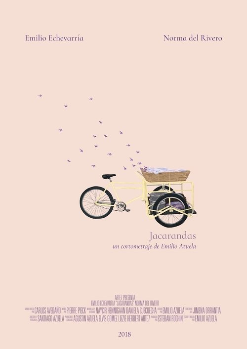 Jacarandas Poster