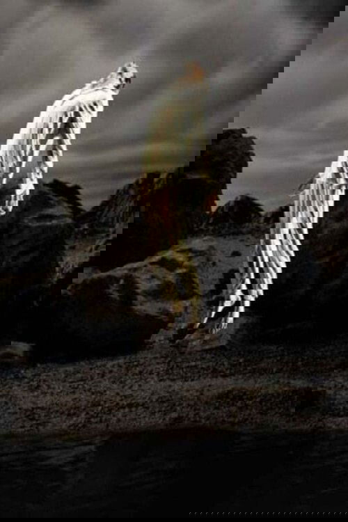 Going Forth By Day Poster