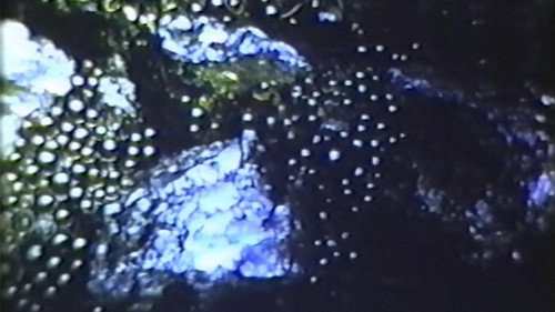 Glimpse of the Garden (1957) 