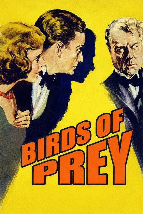 Birds of Prey Poster
