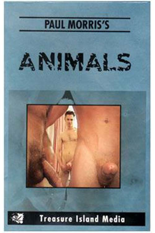 Animals poster 2