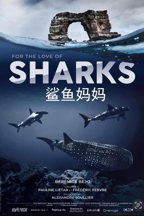 鲨鱼妈妈电影海报