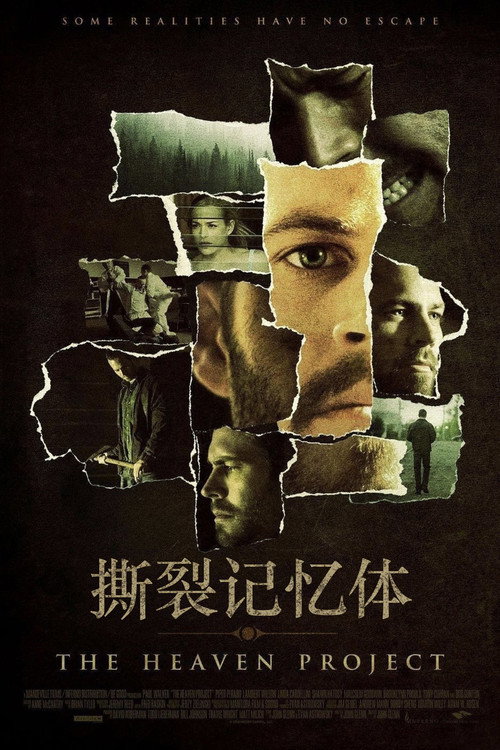 撕裂记忆体电影海报