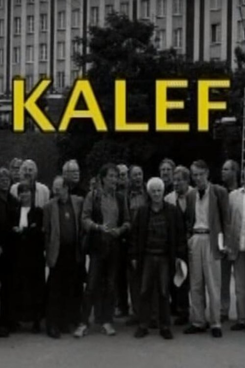 Kalef - A Moszkva téri galeri Poster