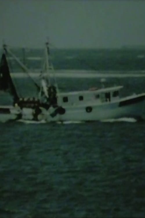 Shrimp Boat Log (2010) Watch Full HD google drive