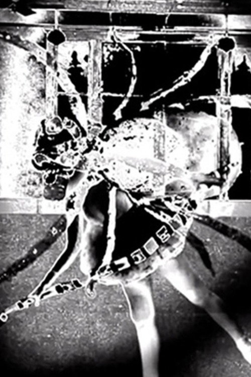Nine Inch Nails: Came Back Haunted电影海报