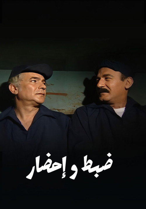 ضبط وإحضار电影海报