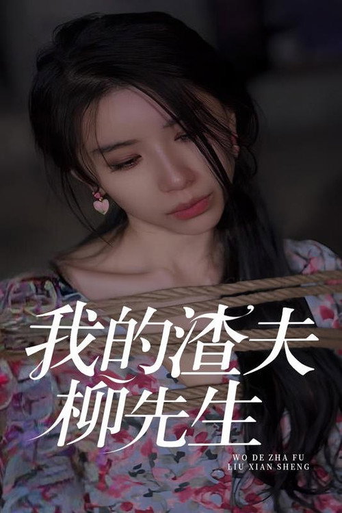 我的渣夫柳先生电影海报