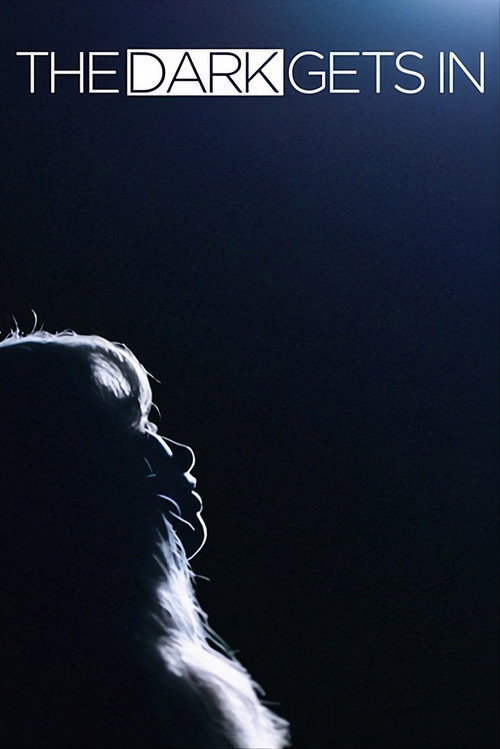 The Dark Gets In Poster