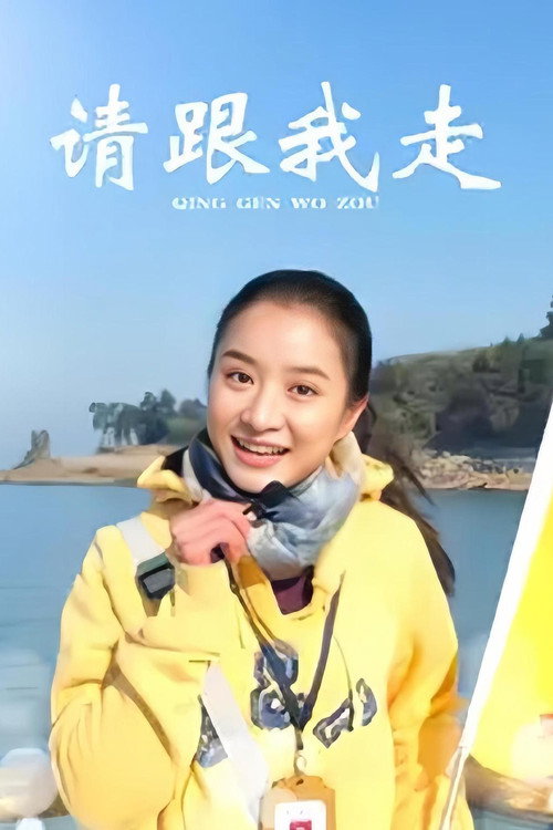 请跟我走电影海报