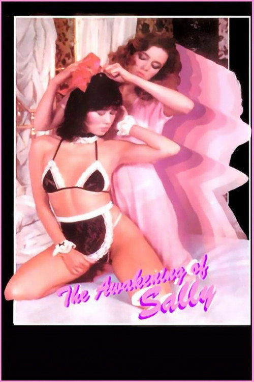 The Awakening of Salley poster 3