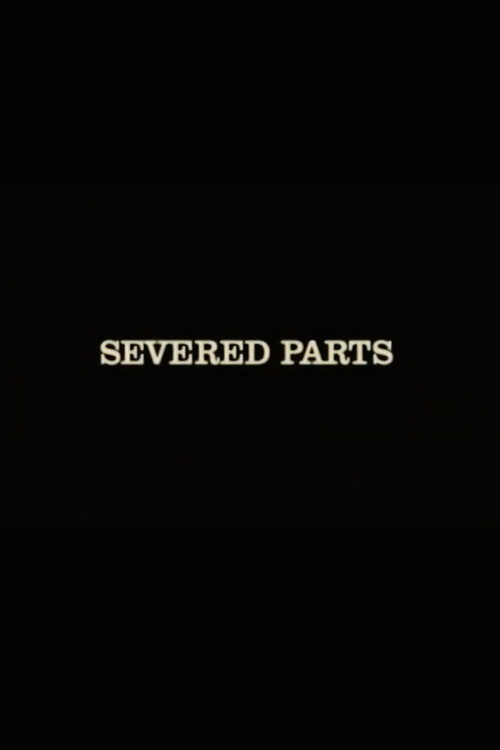 The Texas Chainsaw Massacre: Severed Parts电影海报