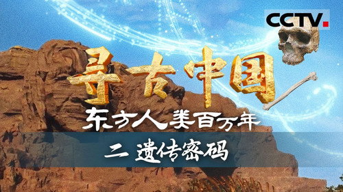 Episode 19