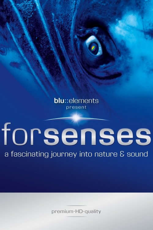 Forsenses+-+A+Fascinating+Journey+into+Nature+%26+Sound