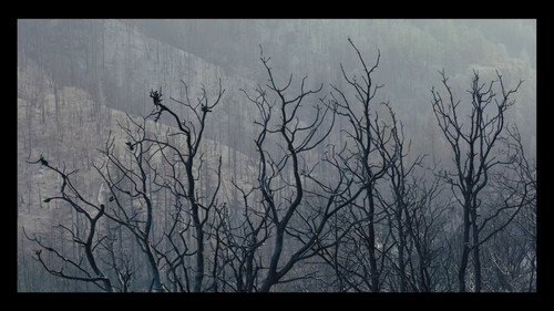 Backdrop