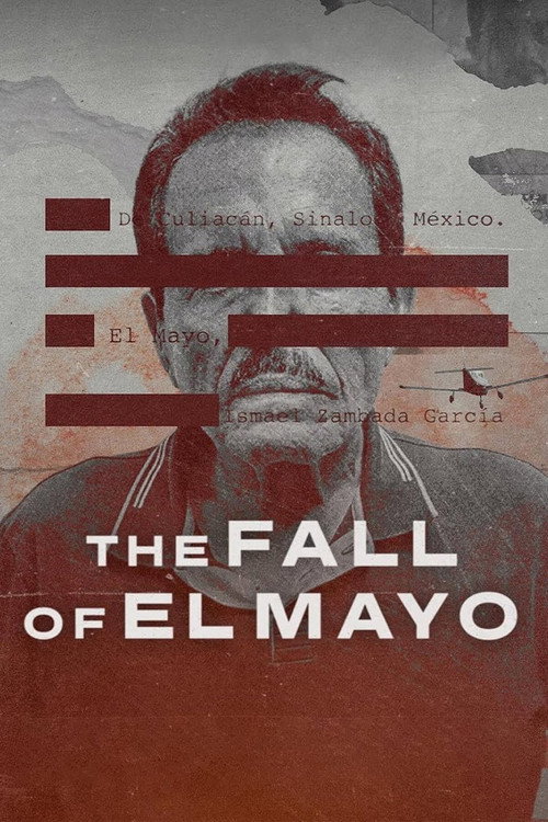 The Fall of El Mayo