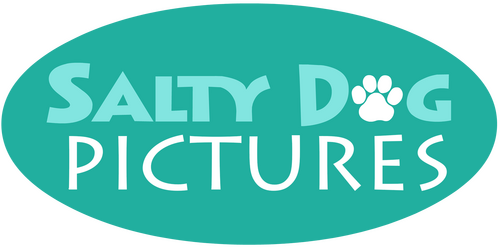 Production Company Logo
