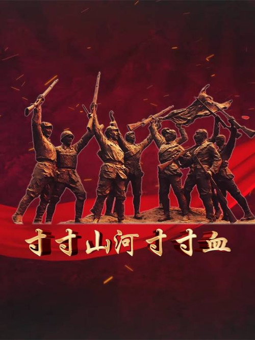 寸寸山河寸寸血电影海报