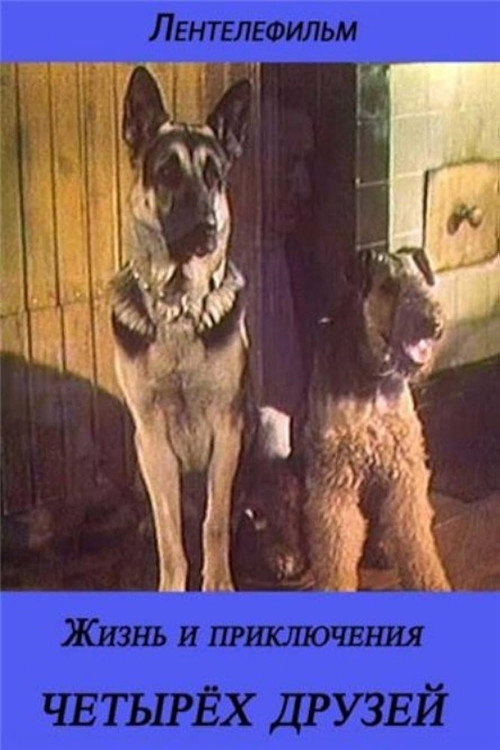 The Life and Adventures of Four Friends 3/4's poster