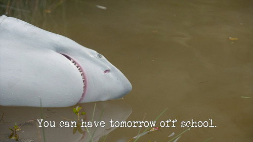 You Can Have Tomorrow off School