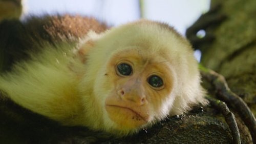 Wild Babies - 4. Bölüm