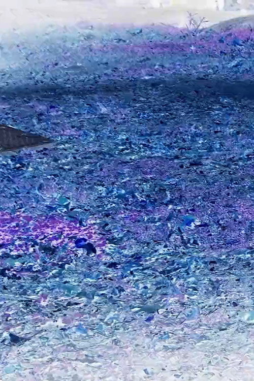 Central Park电影海报