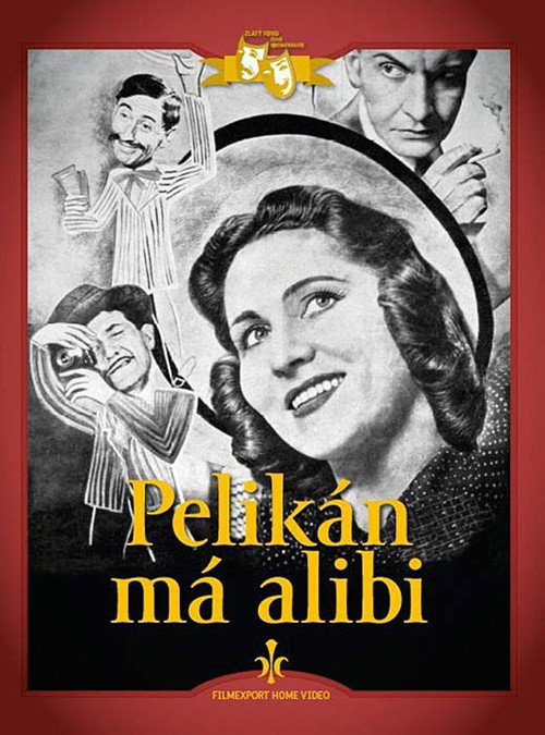 Pelikán má alibi poster 2