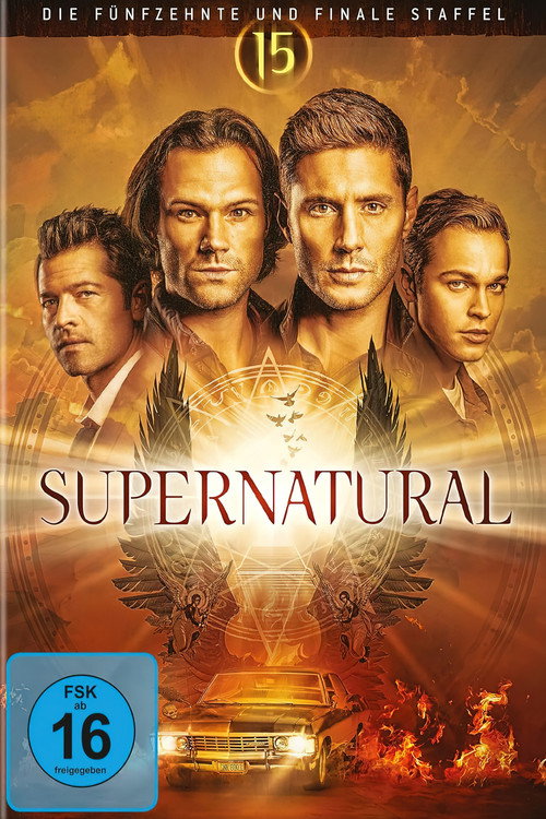 Staffel 15