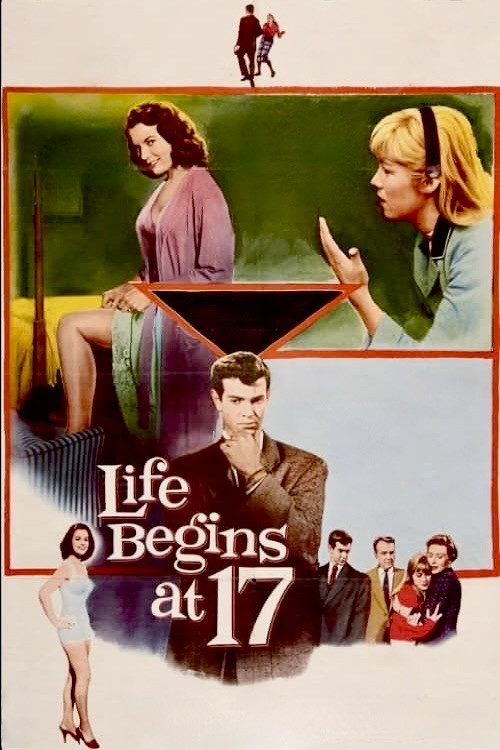 Life Begins At 17 poster 2