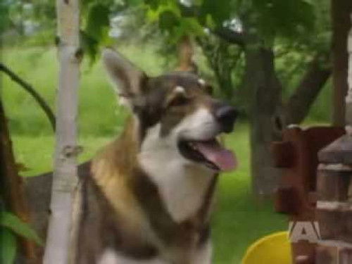 The Secret of Red Hill