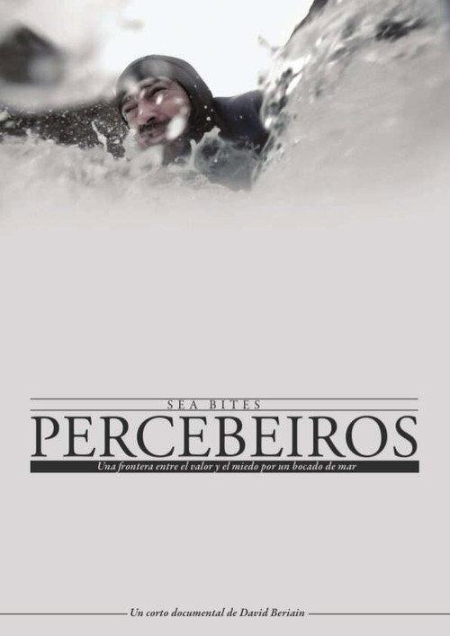 Percebeiros电影海报