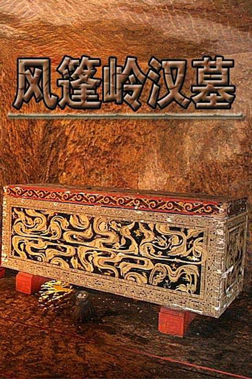 风篷岭汉墓电影海报
