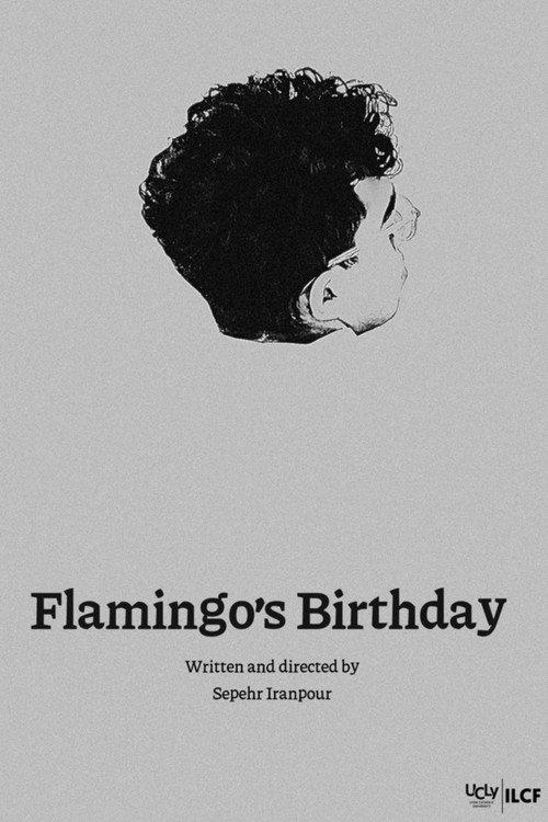 Flamingo's Birthday电影海报
