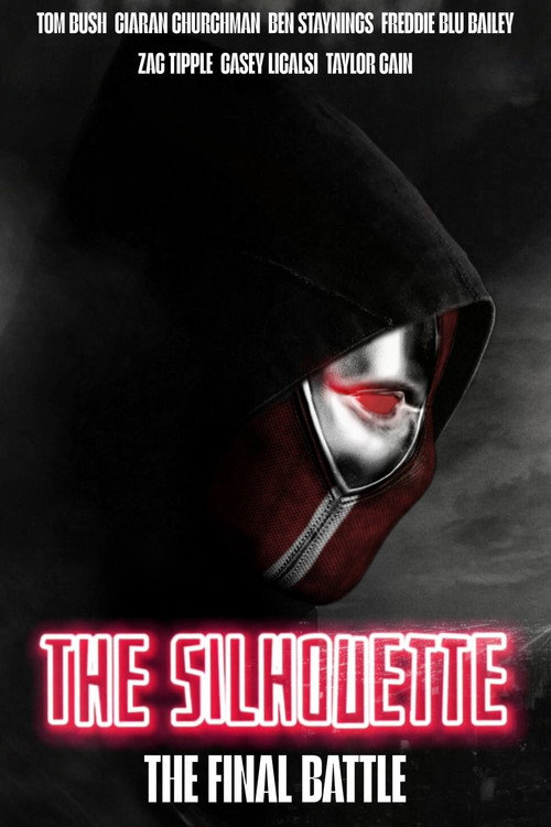 The Silhouette: The Final Battle Poster