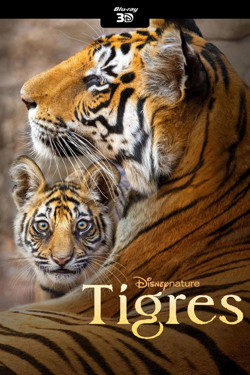 Affiche de Tigres