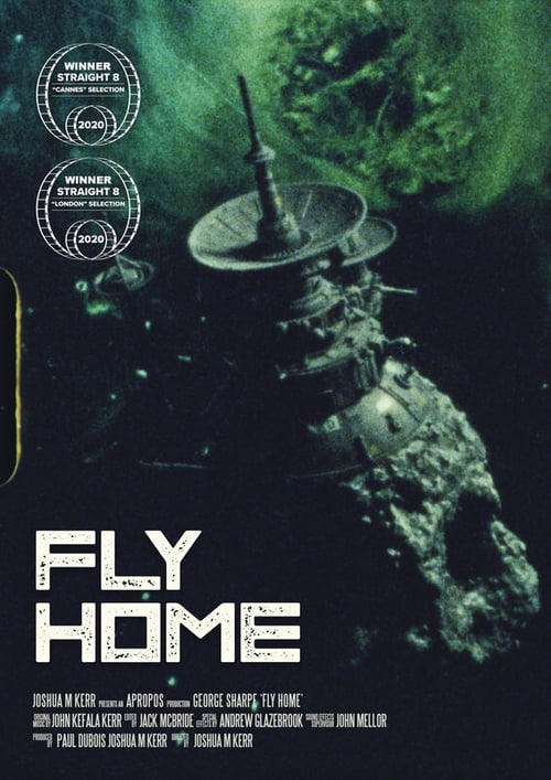 Poster Fly Home 