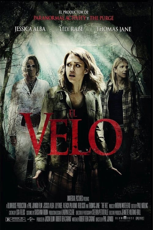 The Veil poster