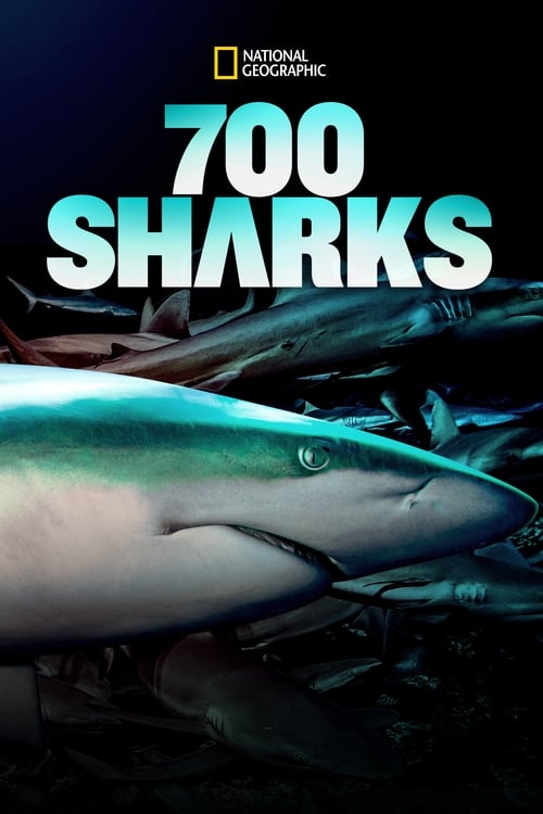 Where to stream 700 Sharks