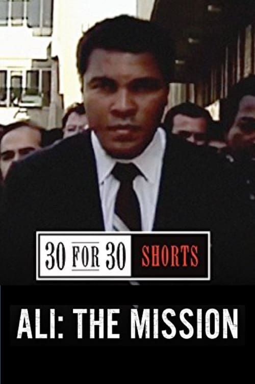 Poster Ali: The Mission 2013