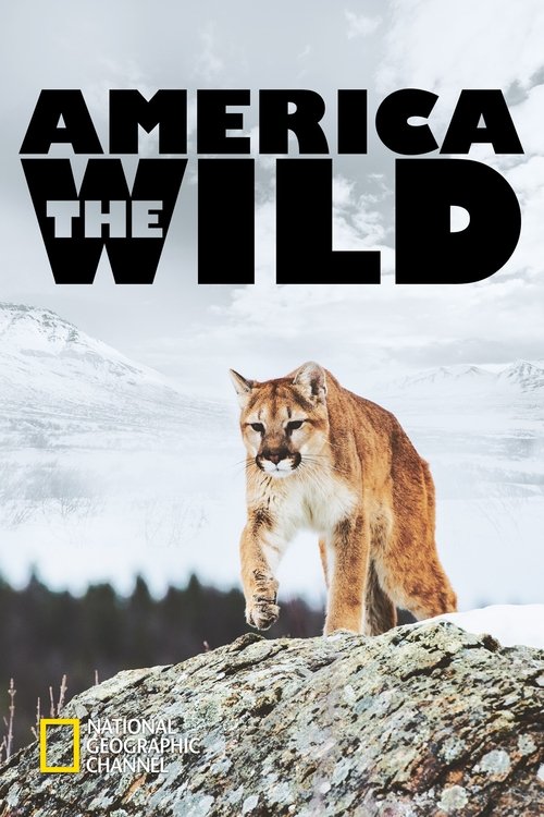 America the Wild with Casey Anderson poster