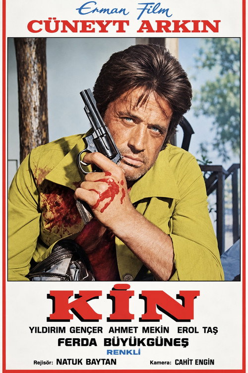 Affiche de Kin