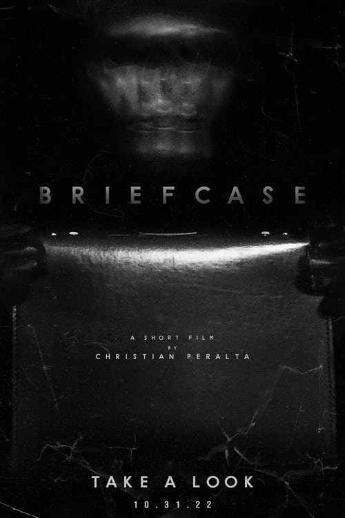 Watch Briefcase Online Streaming