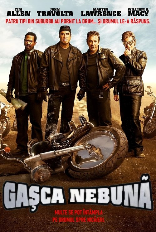 Poster pentru Gașca nebună