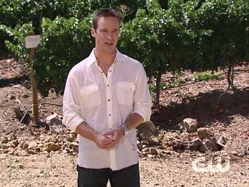 Épisode 11