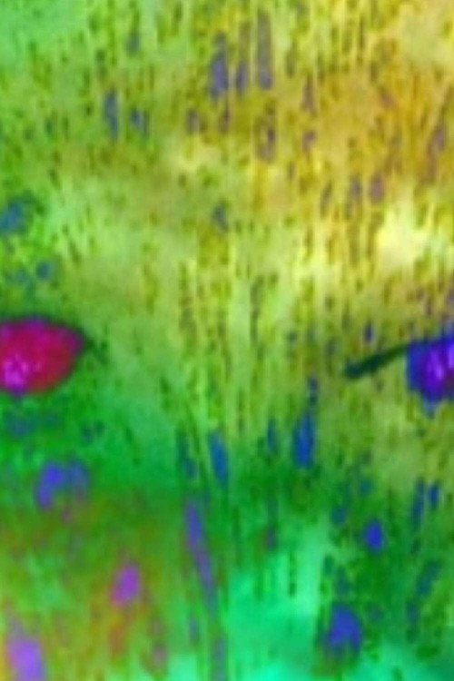 \\\HoL1D/\YS(MrryChr111stma5!!!!)///